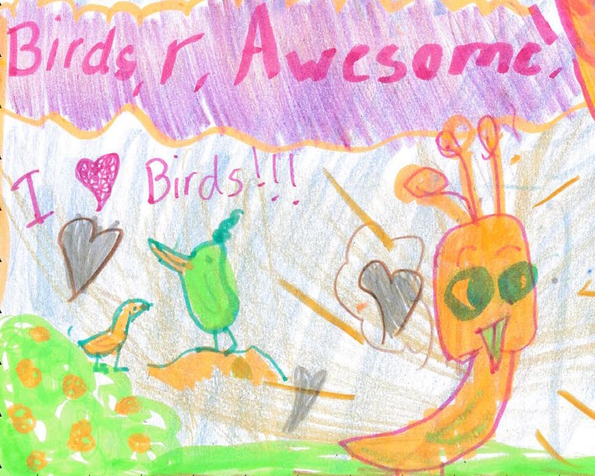 <p>Investigation: Local birds</p>